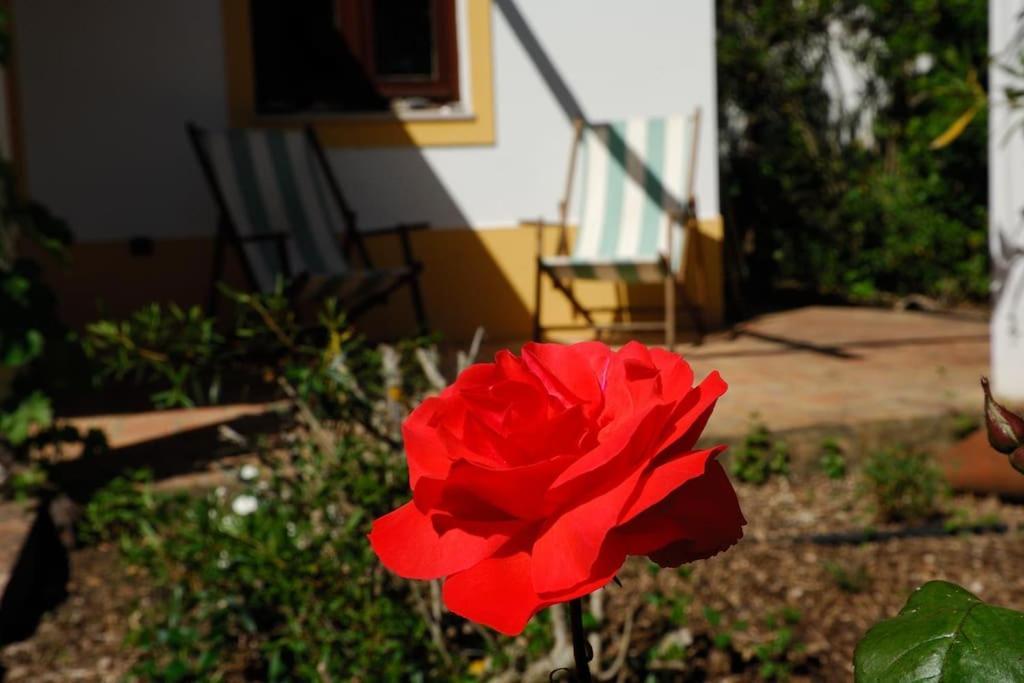 Vale Do Guizo: Casa Poente On The Contryside, Close By The Sea. Aljezur Exterior foto